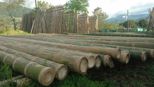 En stock Tube de poteaux en bambou de grande quantité/matériaux Poteau en bambou de haute qualité avec taille personnalisée - Product Image 3