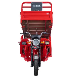 Motocarro de Carga con Motor de Gasolina al Mejor Precio, Triciclo Motorizado de 250 CC, Dos Asientos para Adultos, 3 Ruedas, Carrocería Abierta, 60 V, 501-800 W - Product Image 2