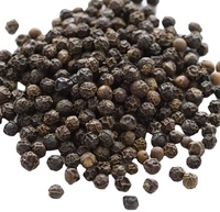Poivre noir épicé pur à 100 %, nouvelle récolte certifiée ISO du Vietnam, 500 g/l, poivre cru séché MC, procédé de séchage AD, meilleur prix