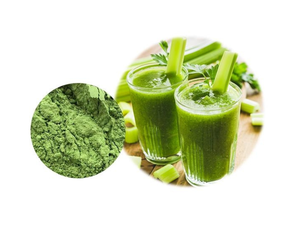 Fabricante polvo de apio orgánico de grado alimenticio 98% polvo de extracto de apio - Product Image 1