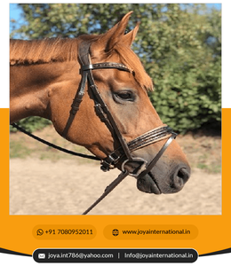 Riel de 2022 grados para okyo, accesorio plegable - Product Image 5