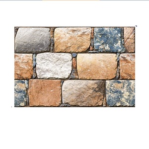 Carreaux muraux numériques à finition brillante de haute qualité avec surface sans danger pour les rayures et motifs audacieux pour les commerces et les résidences d'Inde - Product Image 1