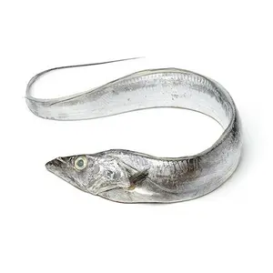 Ribbon Fish from Wholesale + Price Hairtail Fish Land Frozen Type