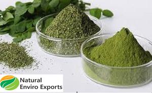 Feuille de neem séchée biologique cueillie à la main utilisée à des fins multiples et poudre de feuille de neem utilisée pour les soins de la peau - Product Image 5