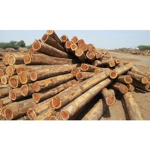 Vente en gros de bois dur rouge de pin de teck personnalisé et de grumes de bois de Offres Spéciales à un prix économique pour le marché mondial - Product Image 3