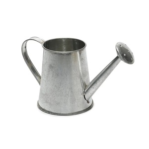 <b>Garden</b> Watering Can Galvanized Simple Metal Water Can creative vintage water <b>cane</b> <b>garden</b> natural Color logo print - Product Image 4