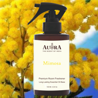Désodorisant d'ambiance liquide longue durée 100 ml aux senteurs indiennes d'huile essentielle de vanille écologique de qualité supérieure