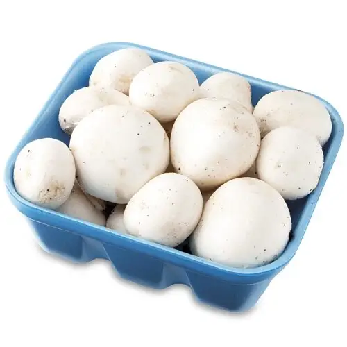 100% organic white mushroom wholesale price