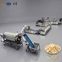Industriële productielijn voor het continu frituren van bananenchips met grote capaciteit, lijn voor de verwerking van fruit snacks