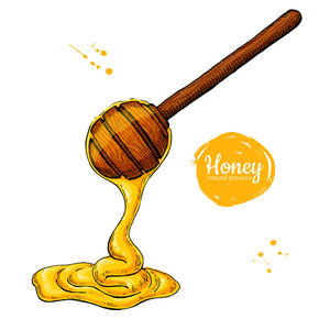 Cuchara de Miel de Bambú Orgánico con Mango Acrílico, Cuchara de Miel de Mesa con Precios de Oferta - Product Image 4