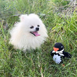 Jouet en corde Kaixin Penguin, jouet durable de style dessin animé avec un design unique de pingouin - Product Image 3