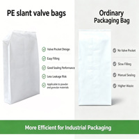 Sac en PE à valve inclinée personnalisé de 25 kg, faible émission de poussière, sans scellage manuel, emballage plastique industriel pour résine plastique