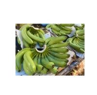 Bananas Verdes Cavendish Frescas de Alta Calidad, las Más Vendidas, en Cajas de Cartón de 4-5-6 Racimos, Directamente del Exportador de Vietnam