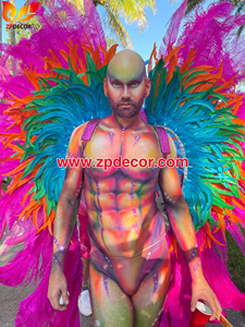 ZPDECOR – Costumes <span class=keywords><strong>de</strong></span> <span class=keywords><strong>carnaval</strong></span> personnalisés en plumes d'autruche, ailes pour la trinity et les Costumes <span class=keywords><strong>de</strong></span> <span class=keywords><strong>carnaval</strong></span> <span class=keywords><strong>de</strong></span> Miami - Product Image 5