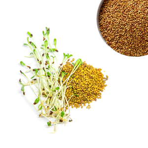 Luzerne | Fourrage bien emballé pour l'approvisionnement mondial en aliments pour animaux - Product Image 5