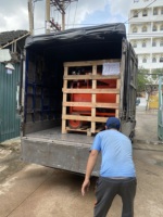 Nouveaux composants essentiels (moteur) de la marque TTQ pour les machines de récolte de noix de cajou, capacité de 250 kg/h, 380 V, garantie 1 an