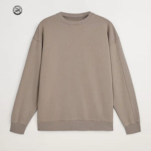 Sweat-shirt à capuche en molleton 100% coton pour homme, logo personnalisé brodé, pull-over, hiver, chaud, décontracté, streetwear, OEM ODM, 340g, respirant - Product Image 1