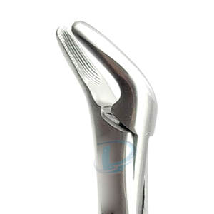 Fórceps de Extracción Profesional de Alta Calidad al por Mayor, Fórceps de Extracción Dentales a Bajo Precio - Product Image 6