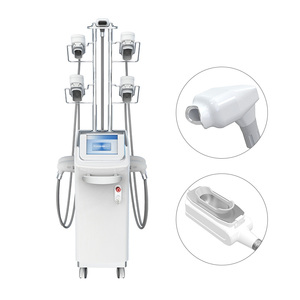 2026 Popular 360 °   Máquina de criolipólisis para reducción de grasa y celulitis - Product Image 2