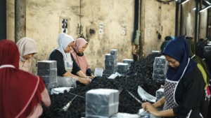 For Sample <b>Booking</b> - Export Grade 100% Natural Coconut Charcoal Briquettes For Shisha Hookah Premium Indonesian Direct - Product Image 6