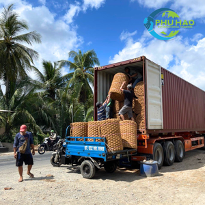 ส่งออกจากเวียดนาม: พรมใยมะพร้าวเพื่อการปกป้องดินอย่างยั่งยืน คุณภาพสูงและราคาดี - Product Image 2