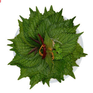 Perilla limpia de Vietnam: Granja-Calidad fresca, estándares globales - Product Image 3