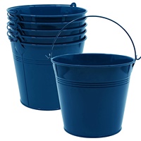 Ensemble de seaux galvanisés modernes, durables et étanches, conçus pour une utilisation en fête, multifonctionnels et très demandés