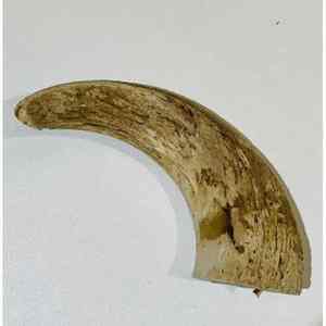 Friandises pour chiens personnalisées, séchées, congelées, naturelles, écologiques, faites à la main, en corne, à mâcher pour chien, agate, en vrac - Product Image 1