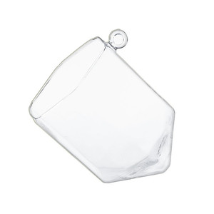 GET8001 - Terrario Geométrico Hexagonal de Vidrio sin Marco - 6 H (6 piezas) - Product Image 1