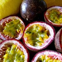 Hoge Kwaliteit 100% Natuurlijke VERS PASSENFRUIT Vietnam HOT SELLING 2022 Competitieve Prijs HP 84 917 476 477