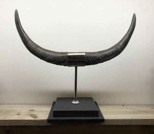 Par de cuerno de búfalo de alta calidad para arte de pared de estilo Animal decorativo para puerta de Montaña de la India - Product Image 1