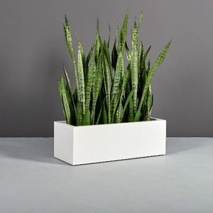 Caja de macetas de hierro con asa, maceta de buen diseño para decoración del hogar y la mesa con macetas de precio asequible de la India - Product Image 6