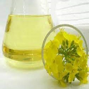 Aceite de canola al por mayor, calidad superior, sabor fresco, compra hoy, opción de cocina saludable con entrega rápida y fiable - Product Image 1