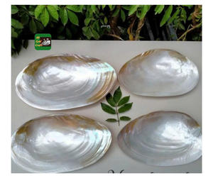 Assiette de coquillage de luxe nacre fait à la main plat décoratif plateau de nacre naturelle affichage de bijoux mariage décor à la maison - Product Image 4