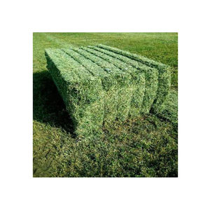 Heno de Alfalfa para Ganado Bovino, Alto Contenido de Fibra (30-40% NDF) para la Salud del Rumen y un Aumento de Peso Estable, Pedido al por Mayor - Product Image 1
