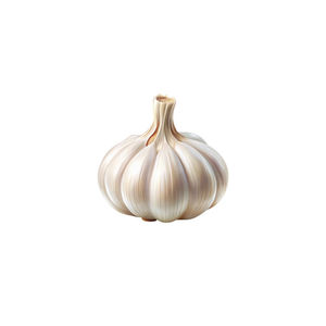 Ail frais en bulbe avec gousses, biologique, aromatique, légume de la famille des Liliacées, pour la cuisine et l'assaisonnement, qualité alimentaire - Product Image 2