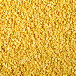 ถั่วมูกดัลออร์แกนิคพรีเมียม อบแห้ง บรรจุ 25 กก. แบบแยกเมล็ดและแบบเมล็ดเต็ม สีเหลือง พร้อมใช้ อายุการเก็บรักษา 24 เดือน มีจำหน่าย - Product Image 1