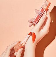 Lip Gloss Velvet Matte Ringan Berpigmen Tinggi Ramah Lingkungan Black Rouge Korea Warna Cerah Tahan Lama 4.5g