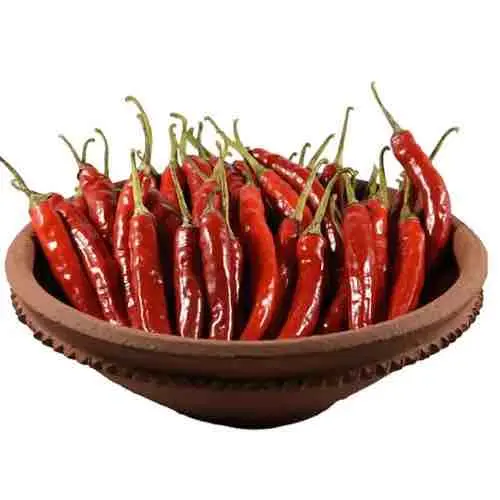 Piment rouge séché et frais de qualité naturelle | Piment rouge | Tout naturel | Végétalien | Exportateur de l'Inde