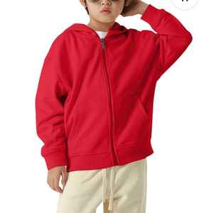 Sweat-shirt à capuche zippé à manches longues en molleton de coton 100% pour hommes, sérigraphie brodée, design avec poche, sweats à capuche solides d'automne - Product Image 3