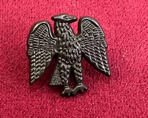 Écusson métallique 3D Aigle Doré Nigérian en Satin avec placage personnalisé et attache épingle de sûreté - Broche Souvenir de Voyage Promotionnelle - Product Image 1