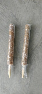 คันเบ็ดทำมือจากเวียดนามสำหรับพืชป่าในร่มส่งออกขั้นต่ำ - Product Image 5