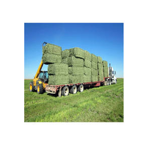 Baies de foin de luzerne de qualité/granulés de luzerne/cubes de luzerne déshydratés foin de Timothy - Product Image 5