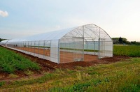 Serre économique à double couche en film PE avec structure anti-corrosion pour le jardinage domestique et l'agriculture à petite échelle