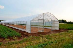 Serre économique à double couche en film PE avec structure anti-corrosion pour le jardinage domestique et l'agriculture à petite échelle - Product Image 5