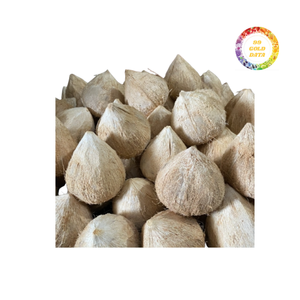 Noix de coco mature de haute qualité avec une excellente texture de viande et de l'eau à un prix de gros abordable pour l'exportation - Product Image 3