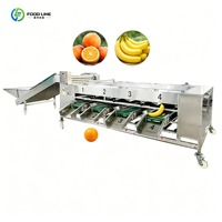Automatische RVS-gewichtsselectie-apparatuur voor het sorteren van fruit en groenten