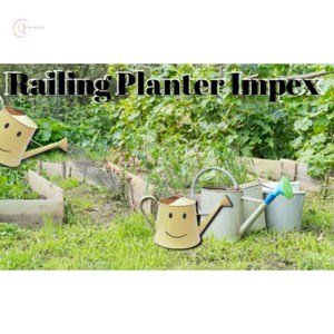 Regadera de Metal de diseñador de moda en Venta caliente Accesorios de riego de jardín de calidad admirable Decoraciones de jardín y artículos para el hogar - Product Image 4