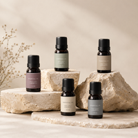 Flacon diffuseur en verre vide personnalisé avec logo, flacon pulvérisateur cosmétique en argile rose mat Morandi, ensemble d'emballage de parfum avec boîte