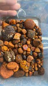 เครื่องวัวควายแบบแปรรูปจากวัว - Product Image 5